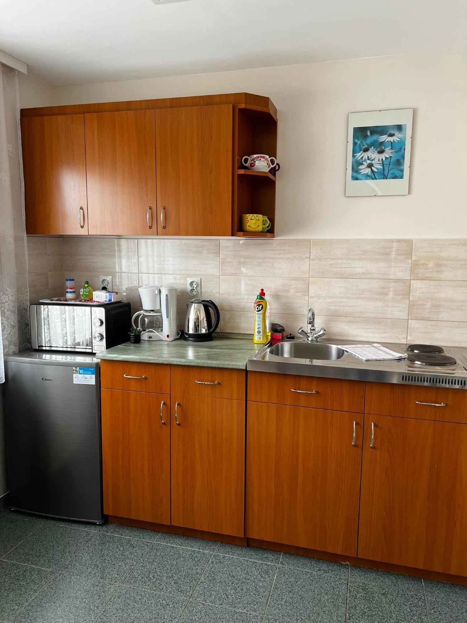 Apartment Revesz Harkány Dış mekan fotoğraf