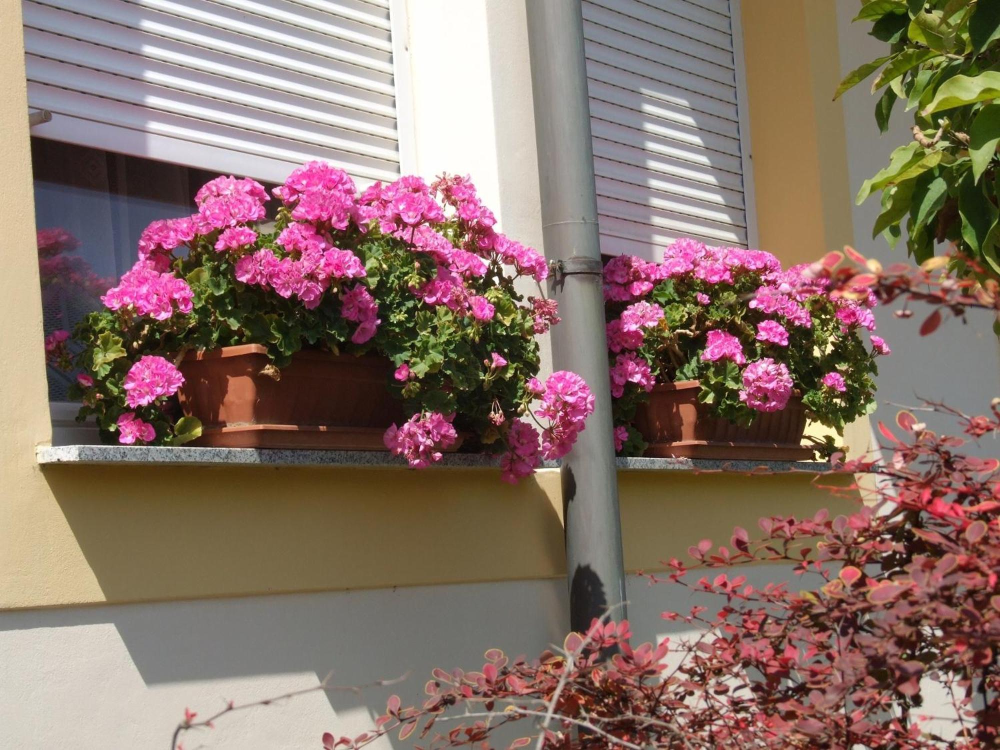 Apartment Revesz Harkány Dış mekan fotoğraf